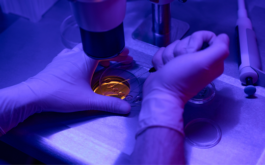 Biopsija dojke, biopsija štitne žlezde, biopsija jetre, biopsija jajnika, biopsija limfne žlezde